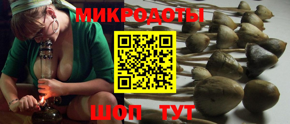 Галлюциногенные грибы Psilocybine cubensis  Вход с VPN  Мичуринск 